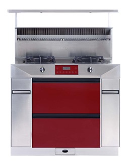 榴莲APP下载进入网址链接榴莲视频成人污侧吸式下排无烟厨房天健G01-R榴莲视频成人污红色